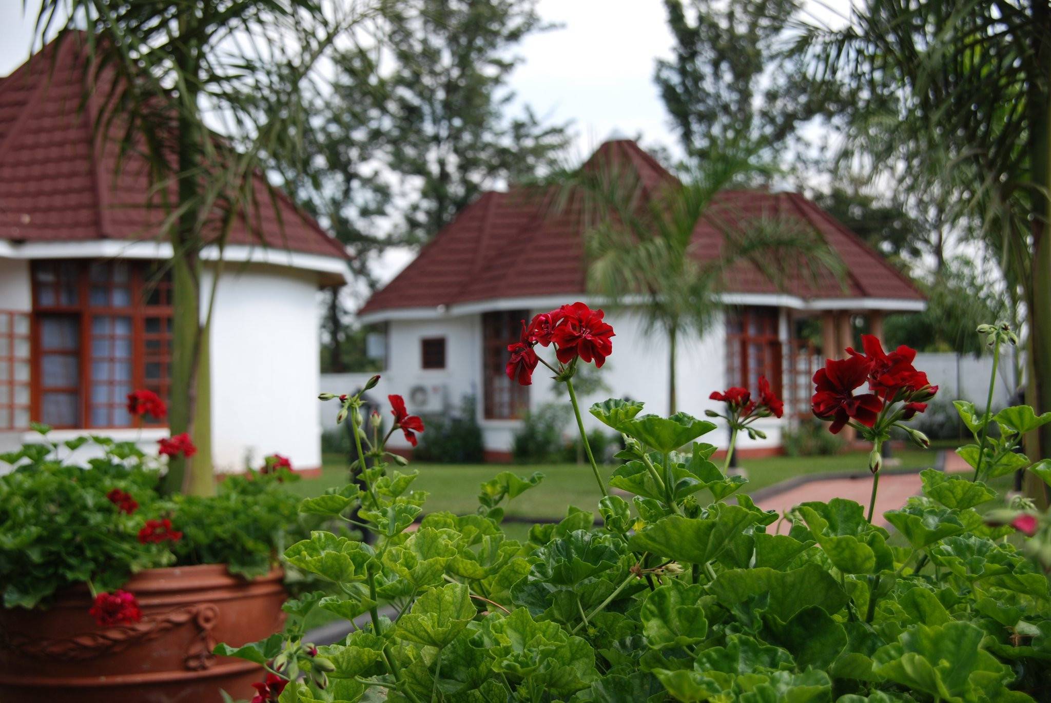 Salinero Hotel - Kilimajaro