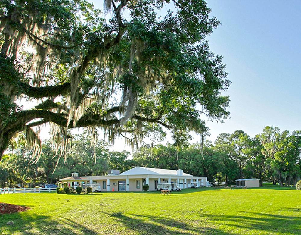 Clover Leaf Forest RV Resort