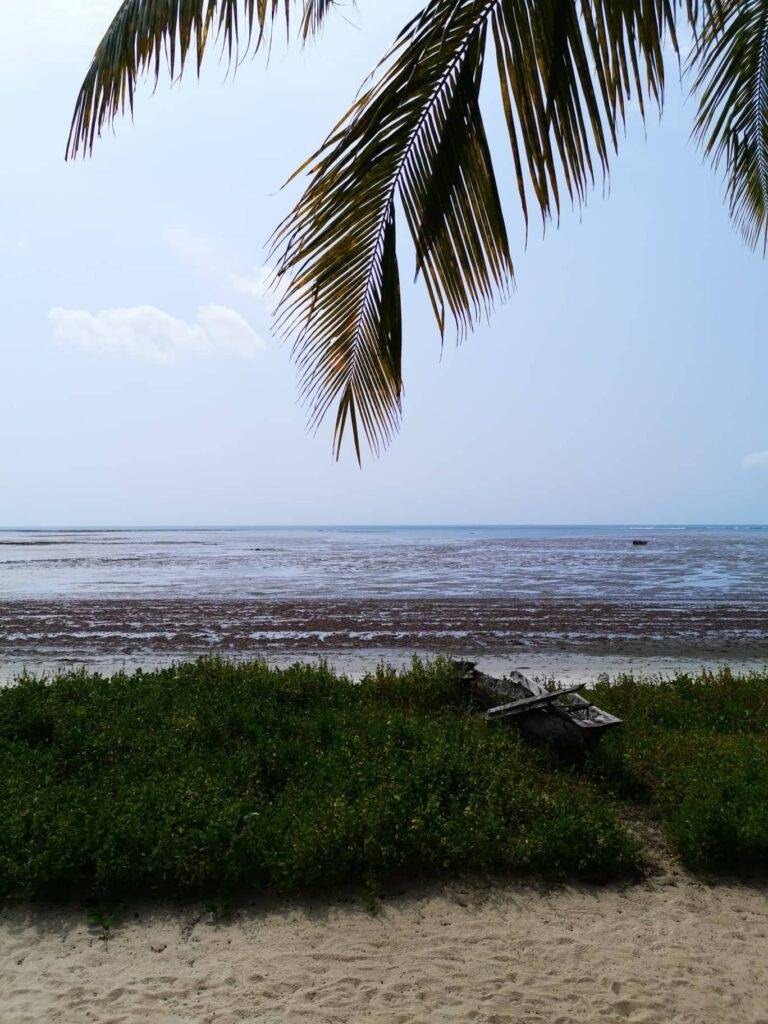 Barrys Beach Resort