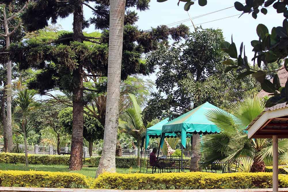 Eco Resort- Kasenyi