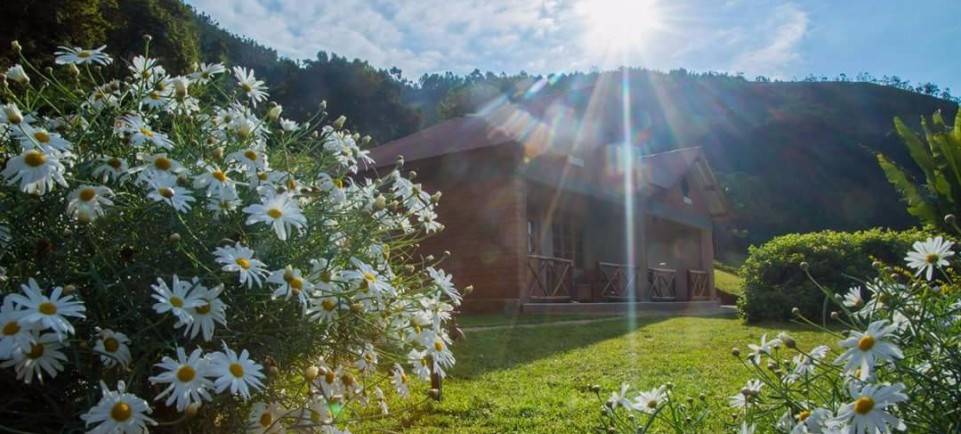 Swissfarm Cottages Resort