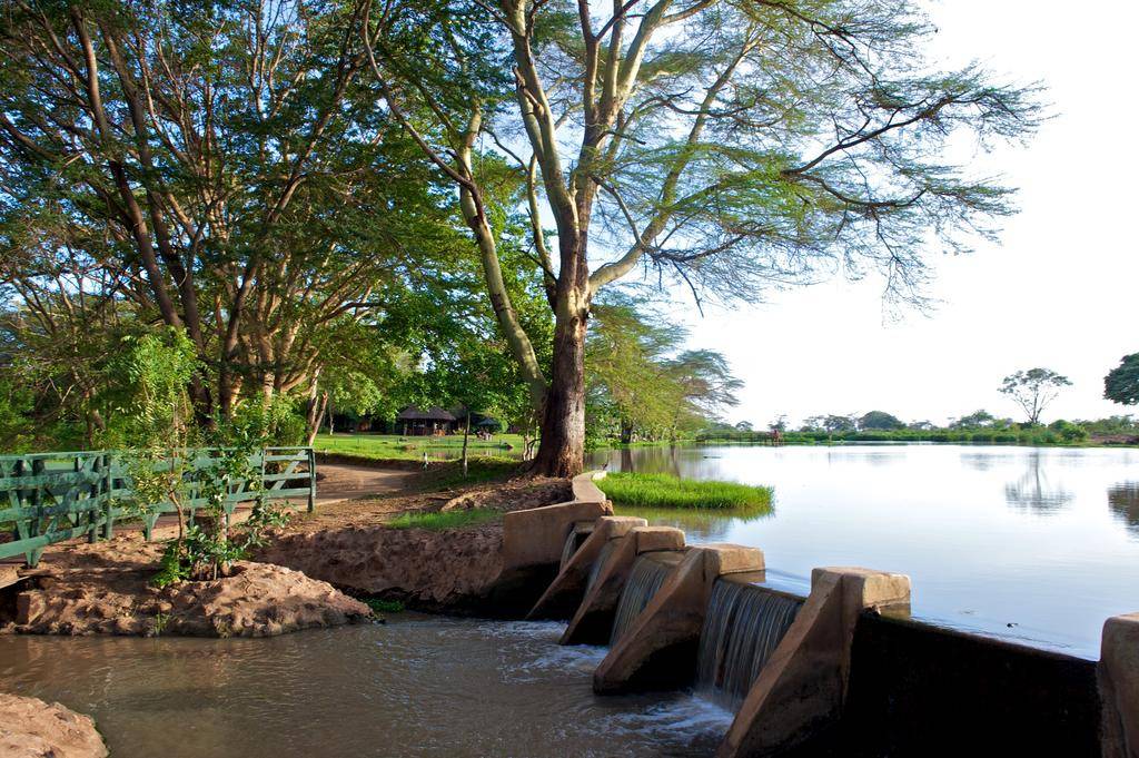 Voyager Ziwani Tented Camp