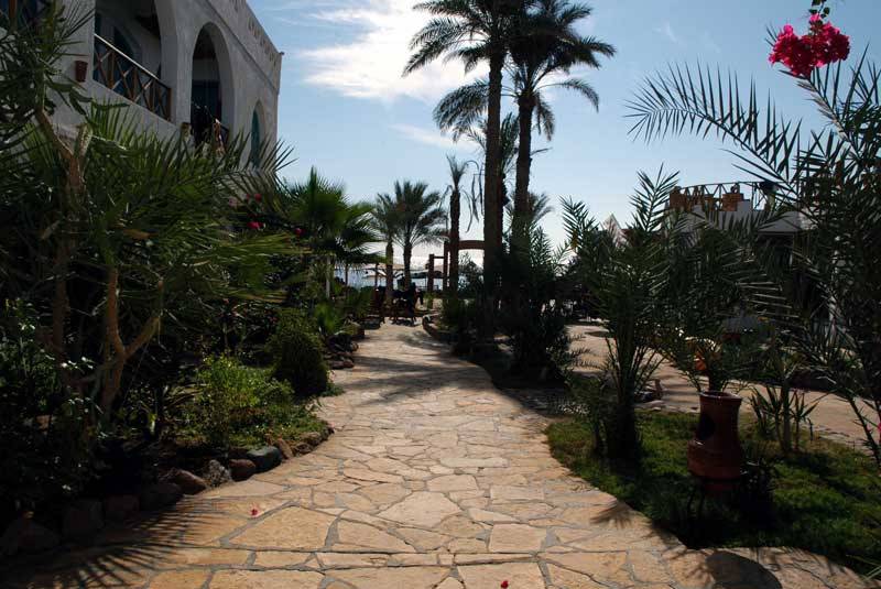 Planet Oasis Resort Dahab