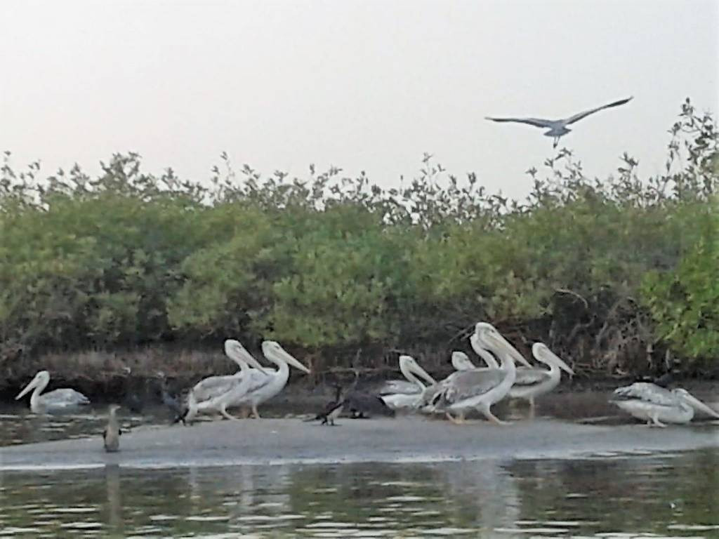 LE KINKELIBA LODGE